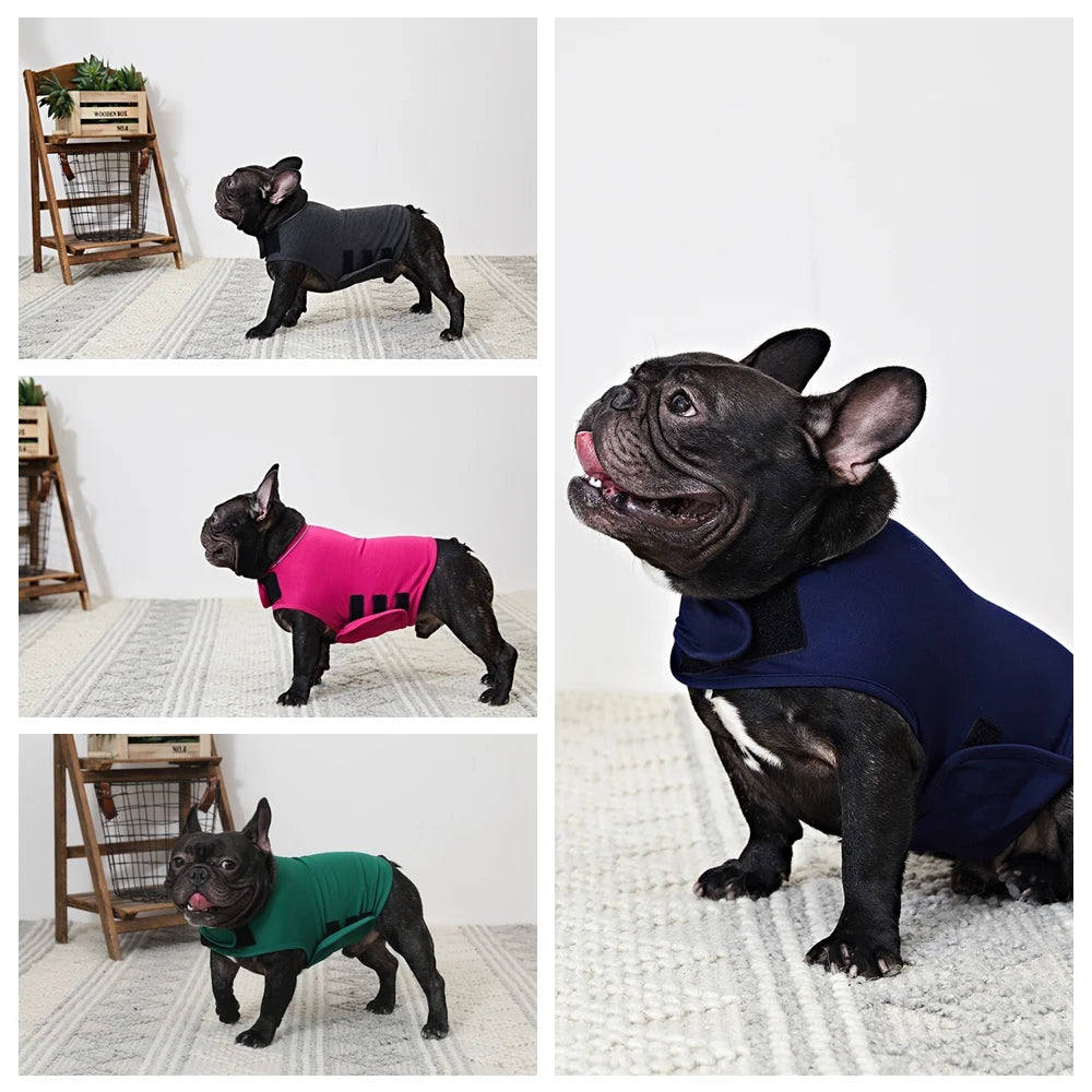 Dog Anxiety Vest β Calming Jacket  for Dogs! β¨πΎ