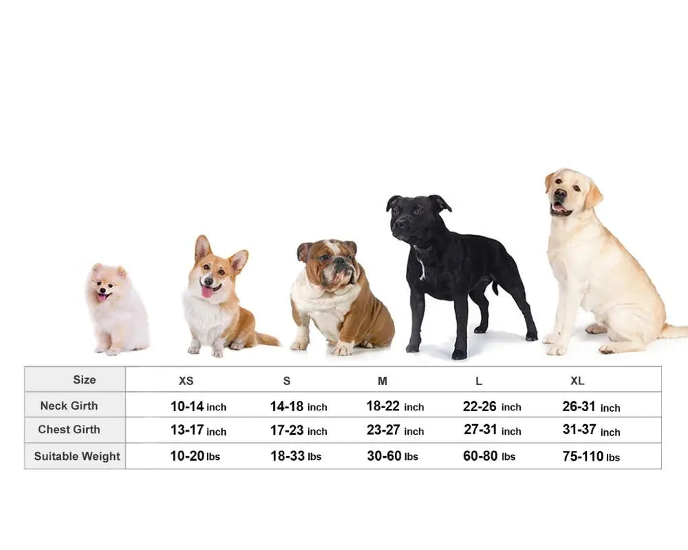 Dog Anxiety Vest β Calming Jacket  for Dogs! β¨πΎ