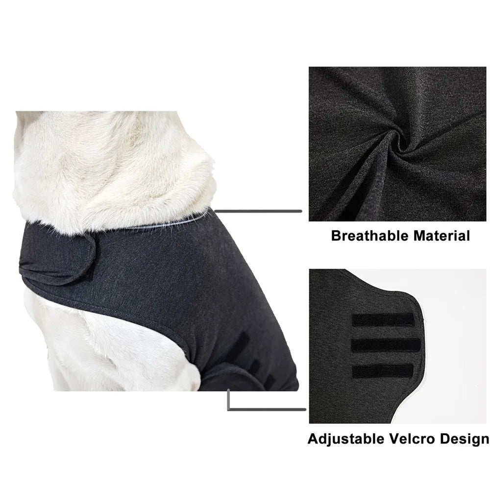 Dog Anxiety Vest β Calming Jacket  for Dogs! β¨πΎ