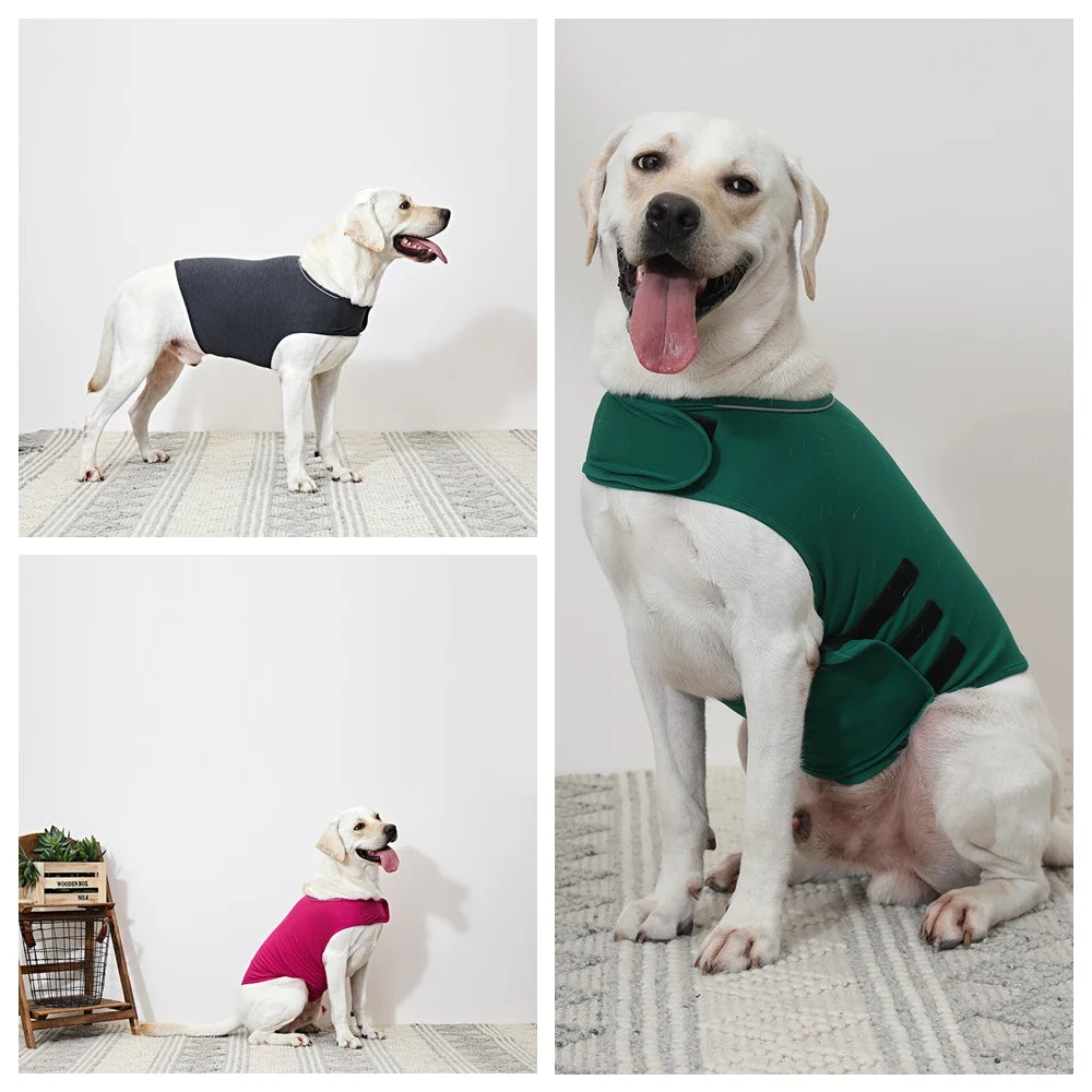 Dog Anxiety Vest β Calming Jacket  for Dogs! β¨πΎ