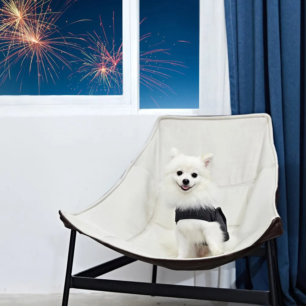 Dog Anxiety Vest β Calming Jacket  for Dogs! β¨πΎ