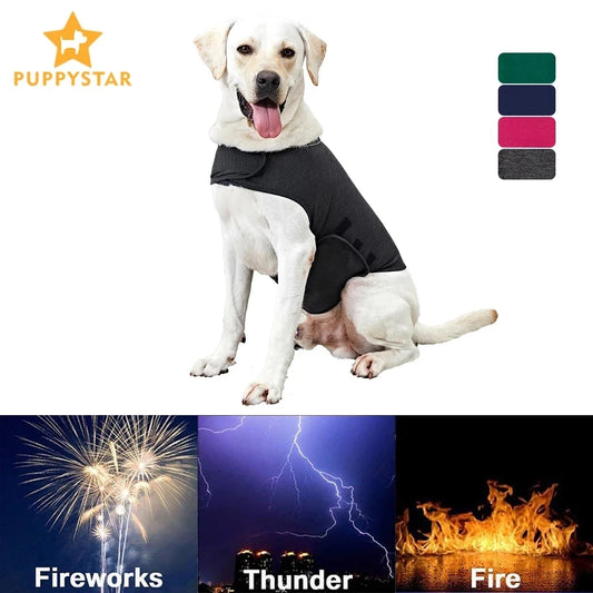 Dog Anxiety Vest β Calming Jacket  for Dogs! β¨πΎ