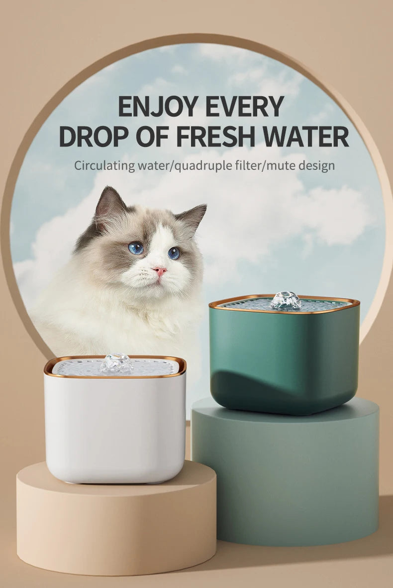 Automatic Cat Water Fountain: Pet Drinking Feeder with LED Light! β¨πΎ