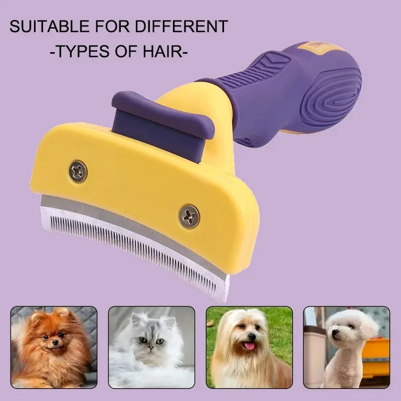 🐾🐶 Dog Brush Grooming Accessories – Anti-Lice Knotting Comb✨🐱