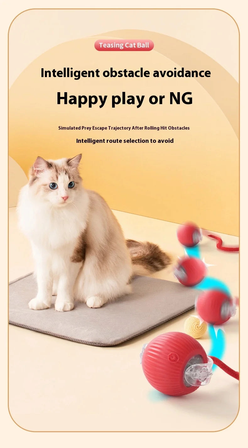 Rechargeable Interactive Cat Toy – Smart Automatic Rolling Ball for Fun Pet Play! 🐱⚡