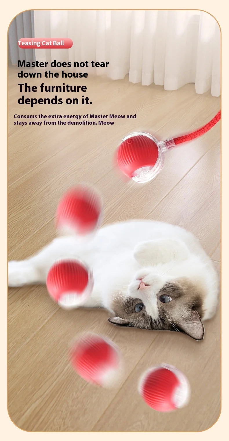 Rechargeable Interactive Cat Toy – Smart Automatic Rolling Ball for Fun Pet Play! 🐱⚡