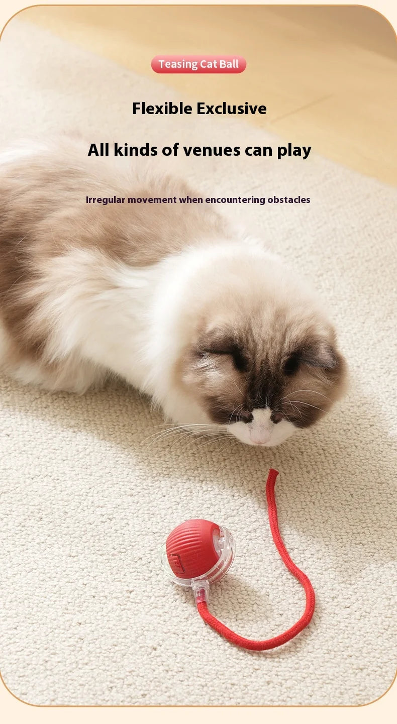 Rechargeable Interactive Cat Toy – Smart Automatic Rolling Ball for Fun Pet Play! 🐱⚡