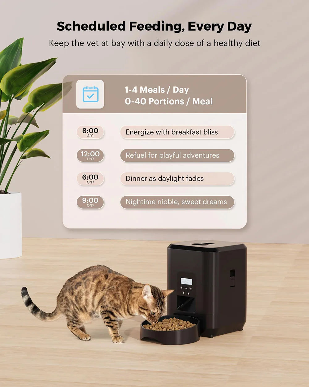 Automatic Cat & Dog Food Dispenser with Timed, Quantitative Feeding! π½οΈπ±πΆ