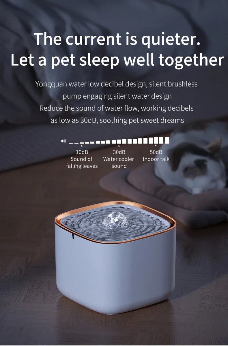 Automatic Cat Water Fountain: Pet Drinking Feeder with LED Light! β¨πΎ
