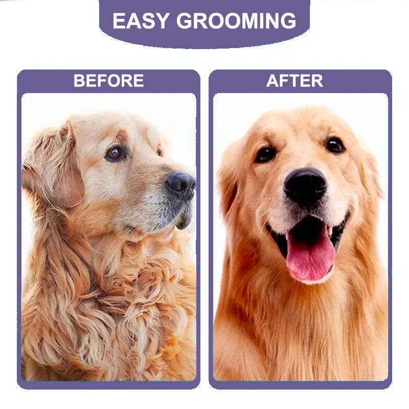 🐾🐶 Dog Brush Grooming Accessories – Anti-Lice Knotting Comb✨🐱