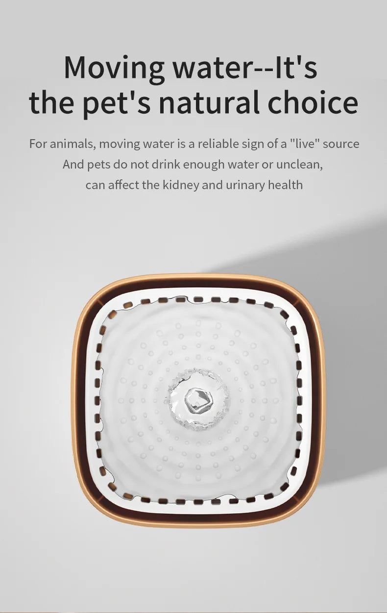 Automatic Cat Water Fountain: Pet Drinking Feeder with LED Light! β¨πΎ