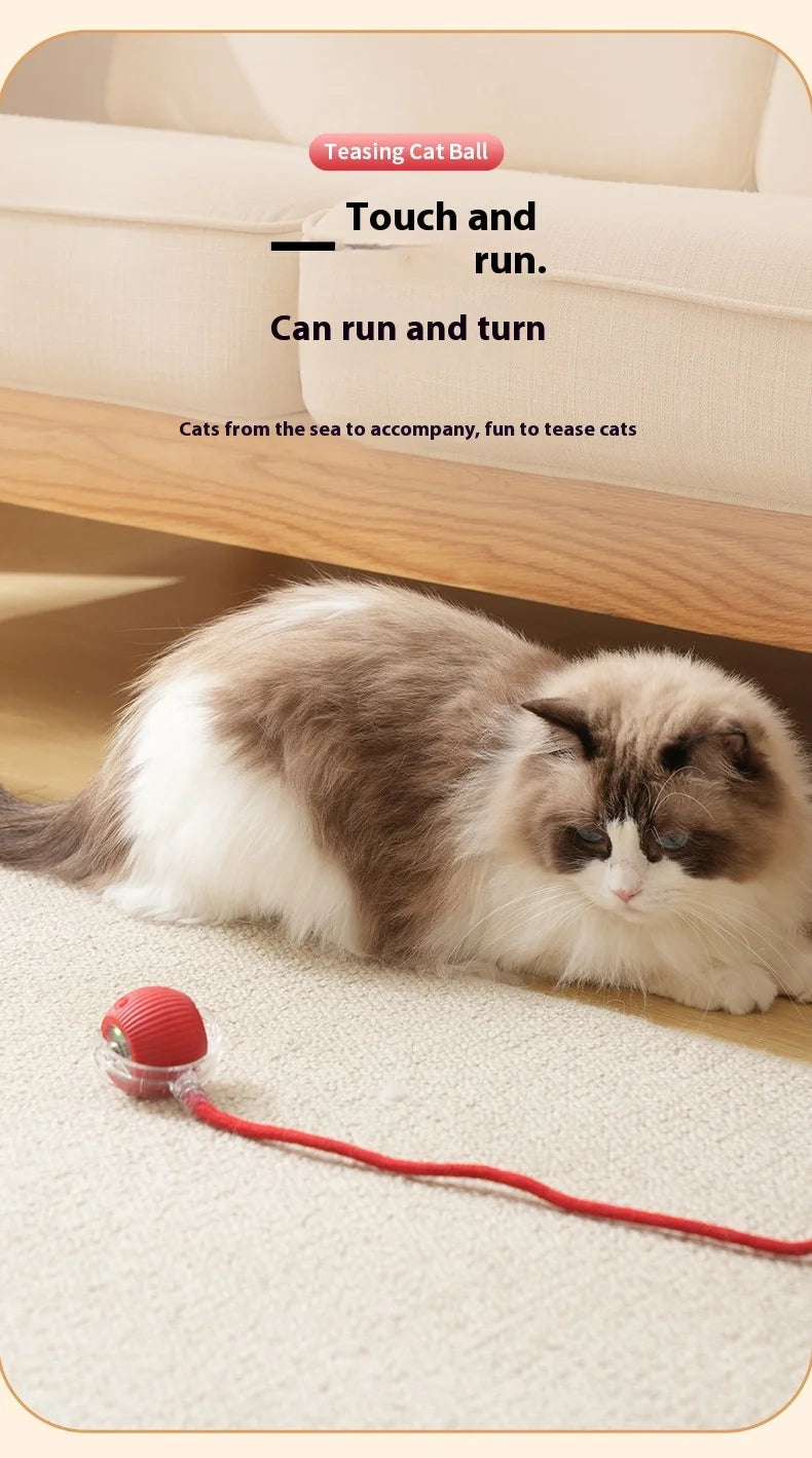 Rechargeable Interactive Cat Toy – Smart Automatic Rolling Ball for Fun Pet Play! 🐱⚡