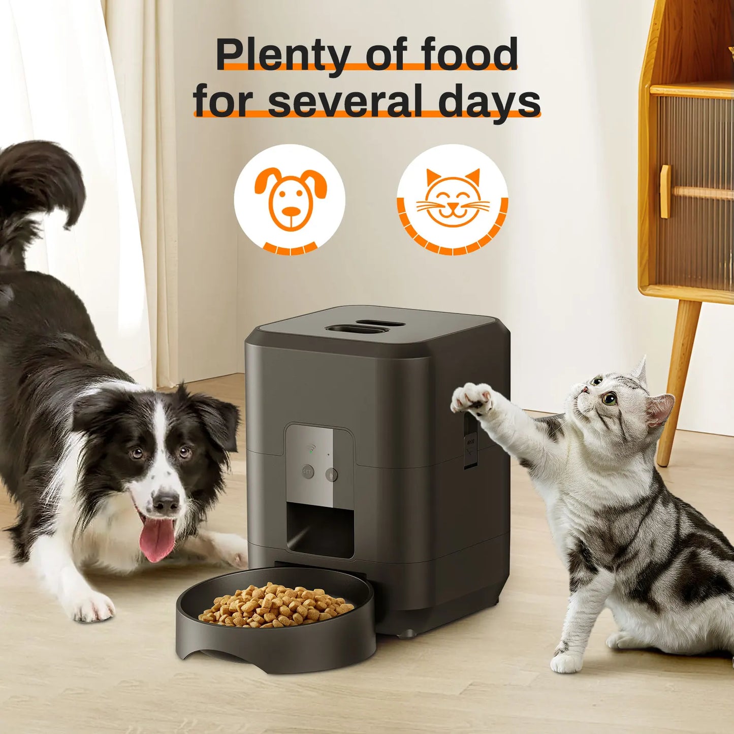 Automatic Cat & Dog Food Dispenser with Timed, Quantitative Feeding! π½οΈπ±πΆ