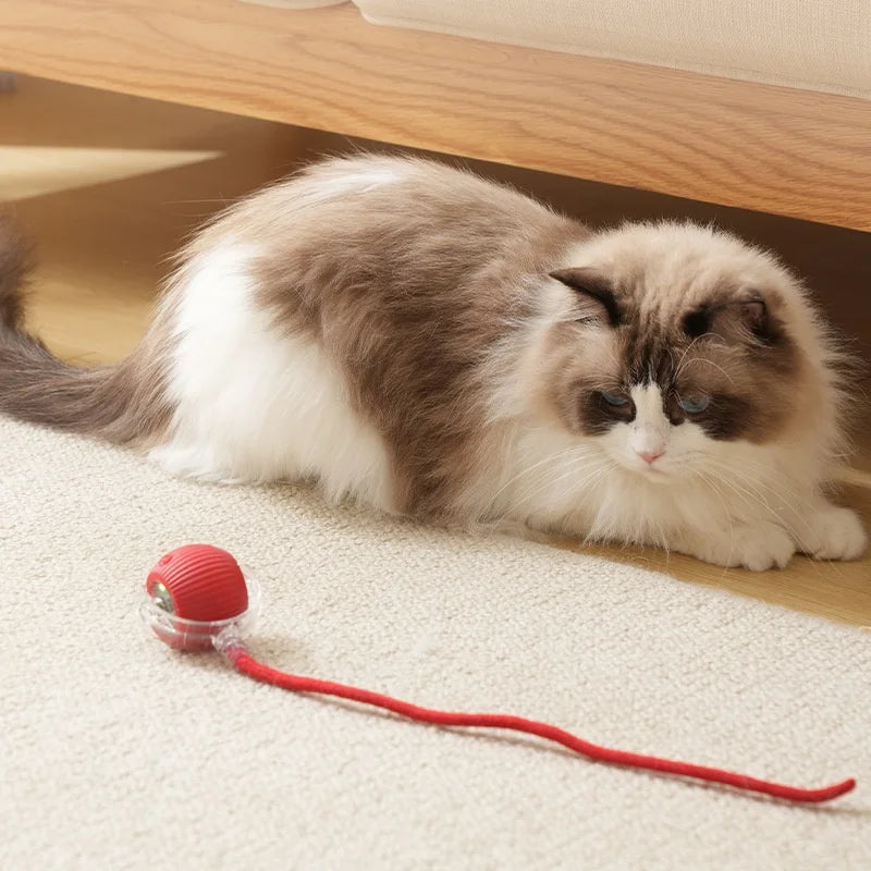 Rechargeable Interactive Cat Toy – Smart Automatic Rolling Ball for Fun Pet Play! 🐱⚡