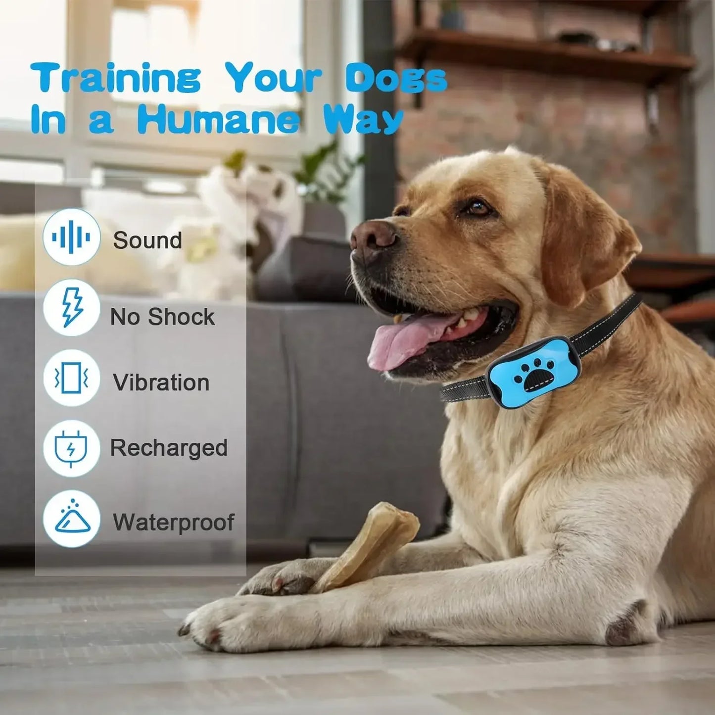 Pet Dog Anti Barking Device: Ultrasonic & Vibration Bark Control! π«π