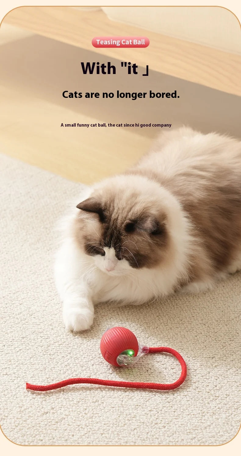Rechargeable Interactive Cat Toy – Smart Automatic Rolling Ball for Fun Pet Play! 🐱⚡