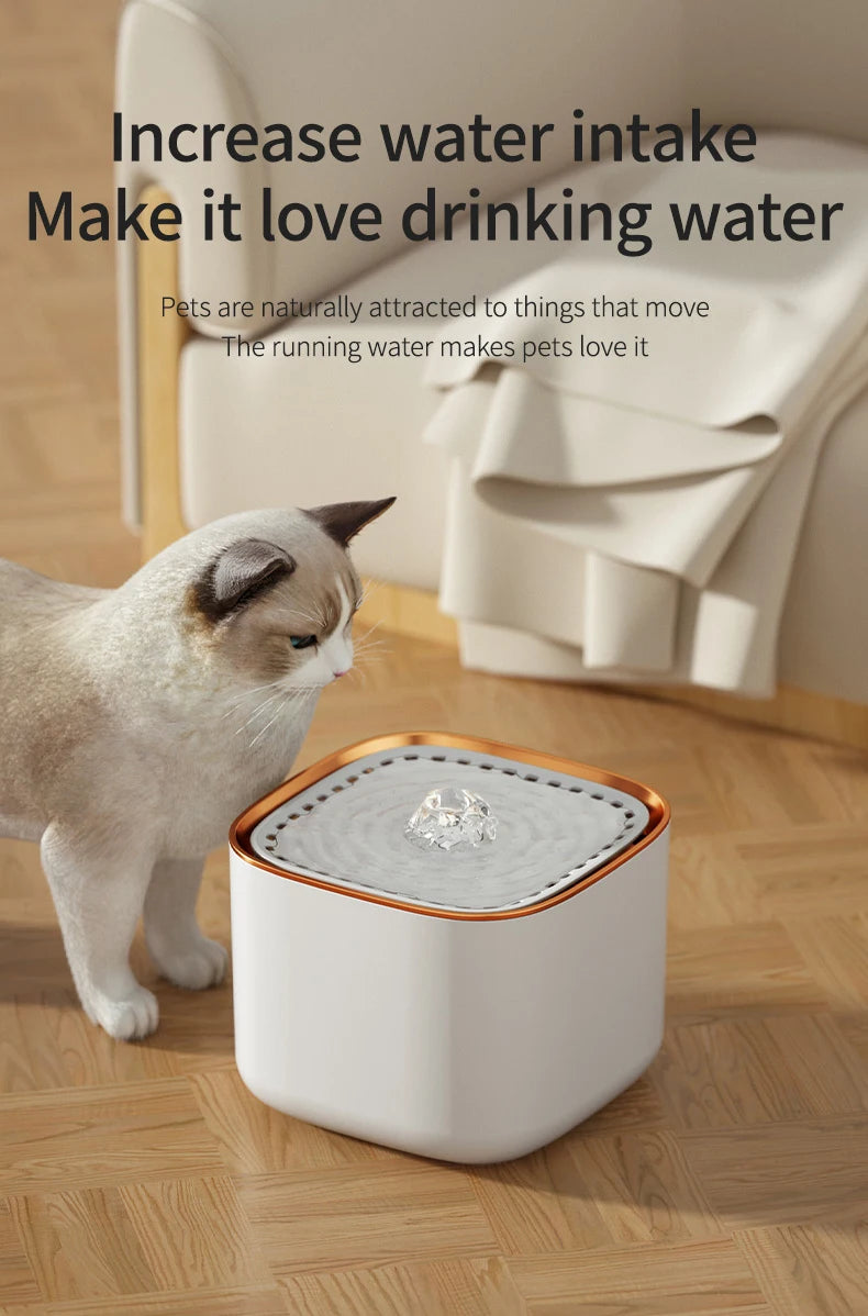 Automatic Cat Water Fountain: Pet Drinking Feeder with LED Light! β¨πΎ