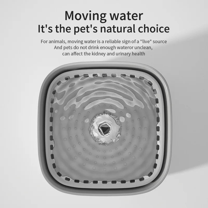 Automatic Cat Water Fountain: Pet Drinking Feeder with LED Light! β¨πΎ
