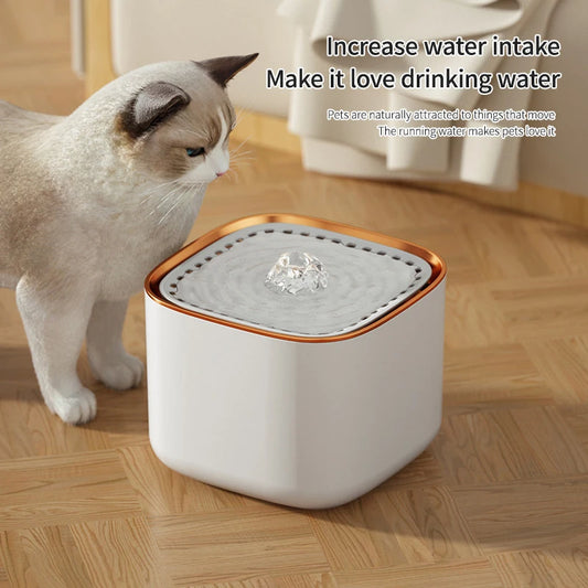 Automatic Cat Water Fountain: Pet Drinking Feeder with LED Light! β¨πΎ