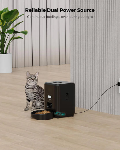 Automatic Cat & Dog Food Dispenser with Timed, Quantitative Feeding! 🍽️🐱🐶